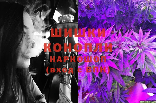 эйфоретик Покачи